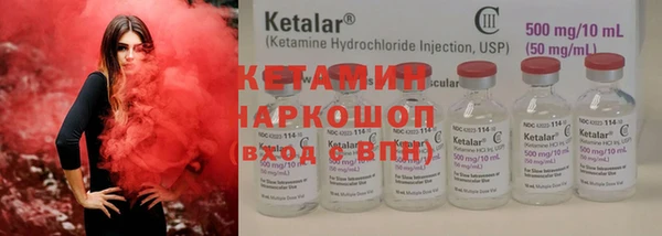 стаф Аркадак
