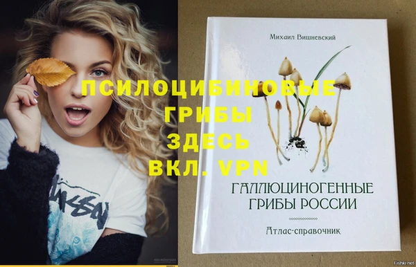 спайс Балахна