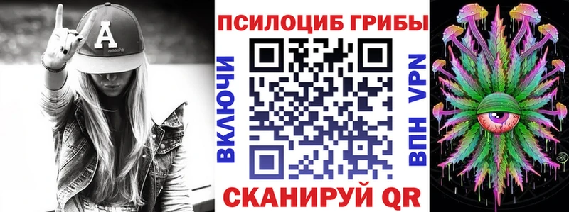 Купить закладки  Гаврилов-Ям  Галлюциногенные грибы Psilocybine cubensis 